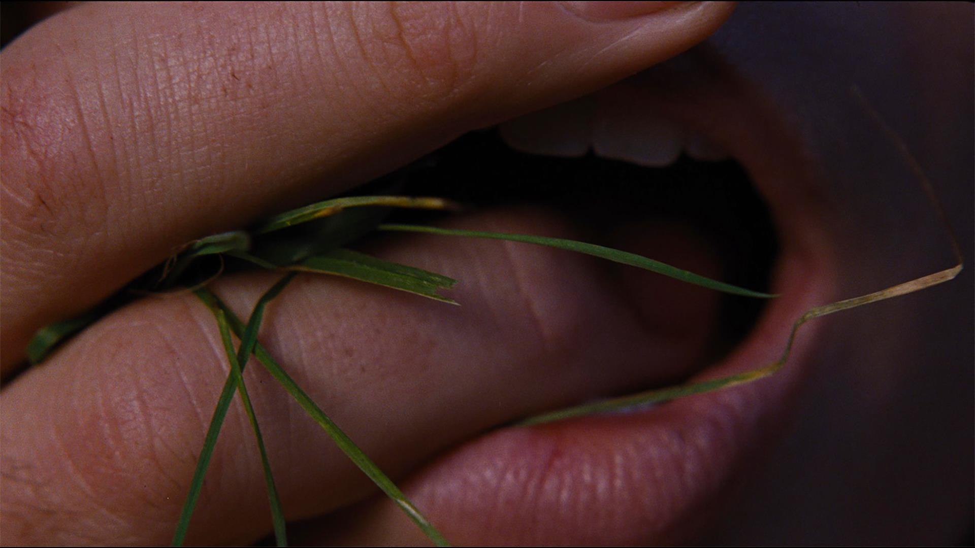 Cine Header Background