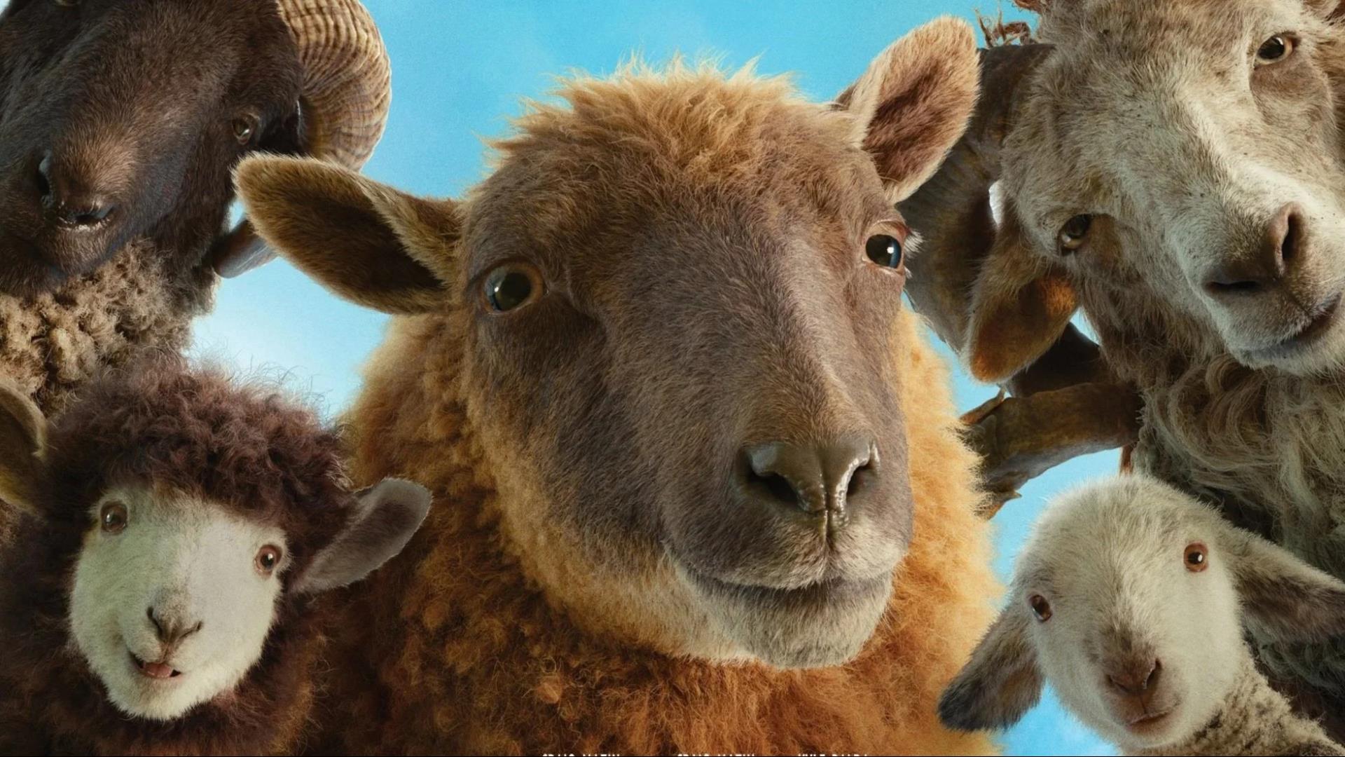 Cine Header Background