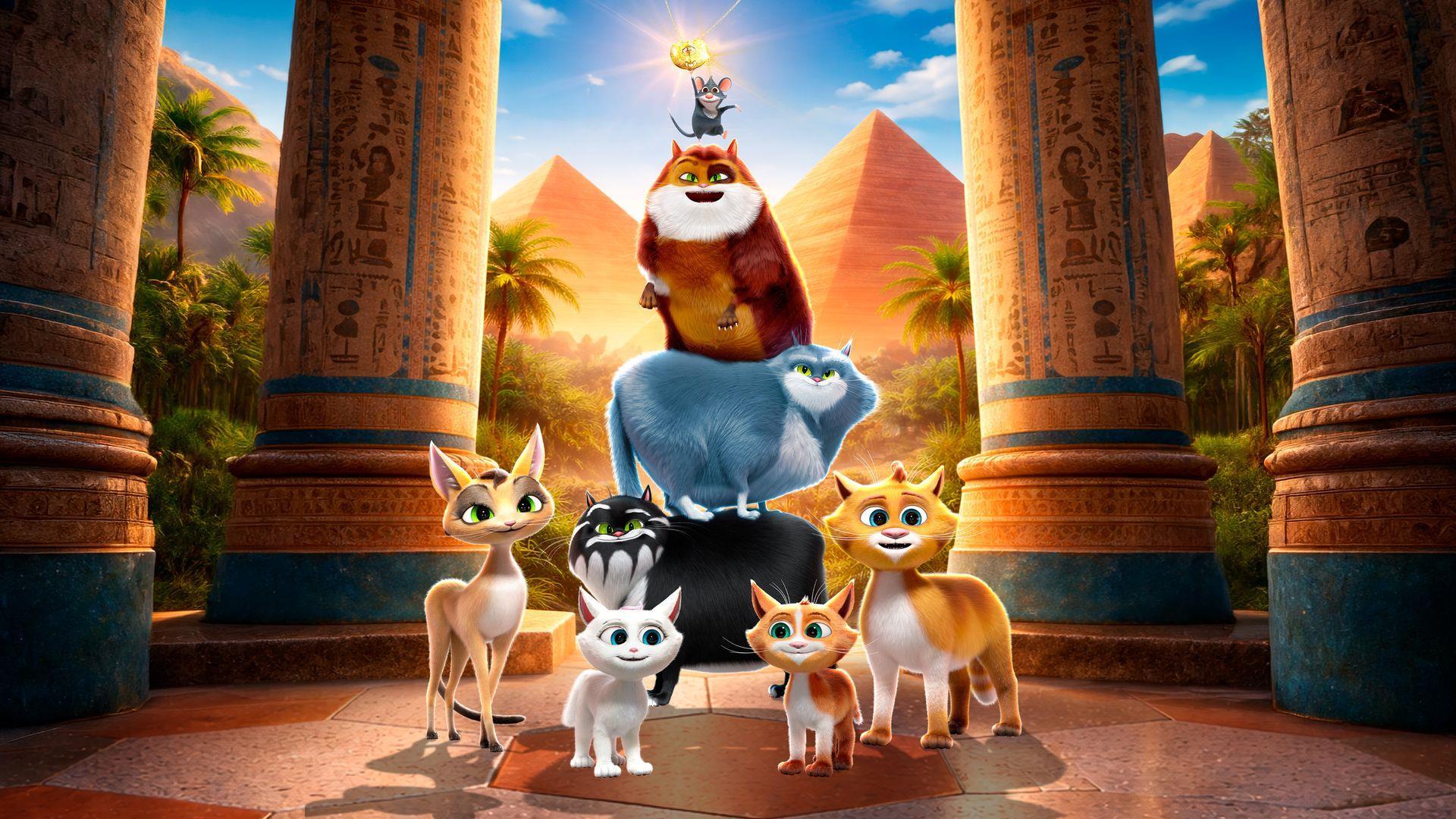 Cine Header Background