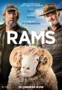 Rams