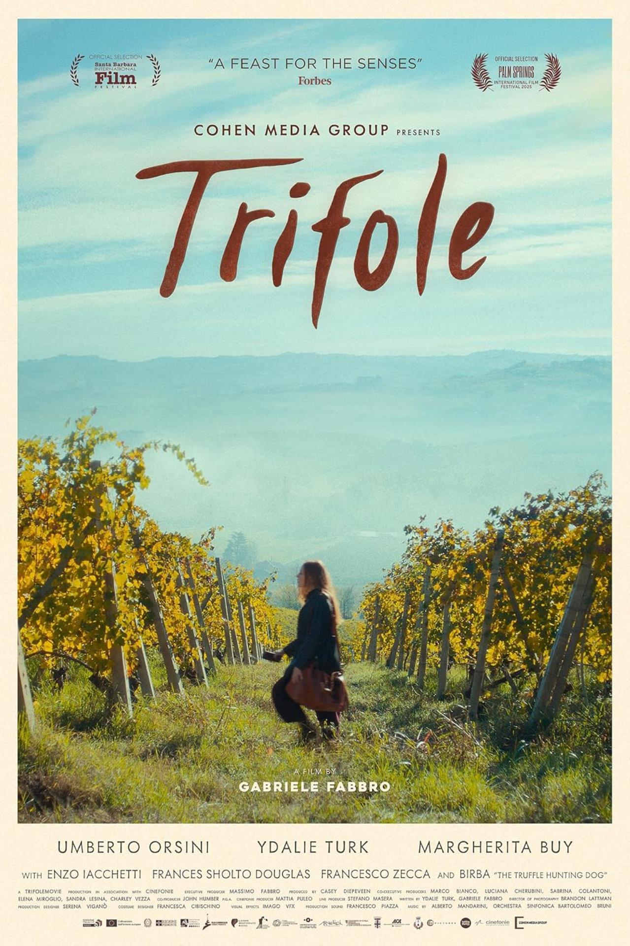 IFF26 Trifole