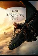 HOW TO TRAIN YOUR DRAGON (Chinese sub)