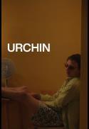 Urchin