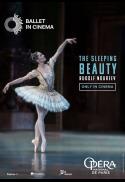 The Sleeping Beauty (Paris Ballet)