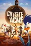 Coyote vs. Acme