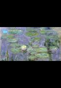 EXHIBITION ON SCREEN: Monet, 90'