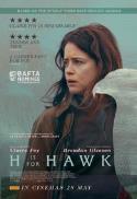 Fundraiser: H is for Hawk
