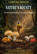 Nature's Bounty – Mushrooms of the Zambian Miombo