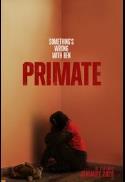 Primate (2026)