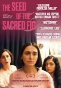 The Seed of the Sacred Fig