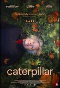Caterpillar
