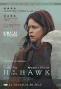 H is for Hawk