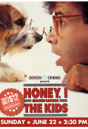 Honey, I Shrunk the Kids (1989)