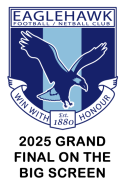 EFNC fundraiser: 2025 BFNL Senior Grand Final