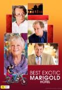 The Best Exotic Marigold Hotel (2011)