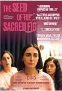 The Seed of the Sacred Fig