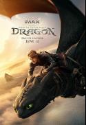 How to Train Your Dragon