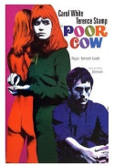 CCFC presents: Poor Cow
