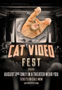 CatVideoFest 2025