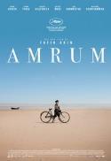 Amrum