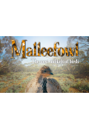 Malleefowl — The most unlikely of birds