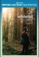Whitetail