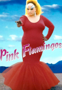Pink Flamingos