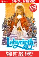 Labyrinth - 40th Anniversary