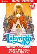 Labyrinth - 40th Anniversary