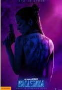 From The World Of John Wick: Ballerina
