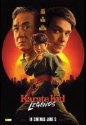 Karate Kid: Legends