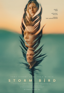 Storm Bird (Q&A)