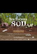 Six inches of Soil